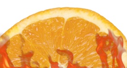 Ognista skórka pomarańczowa