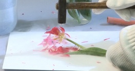 Freezing objects with liquid air