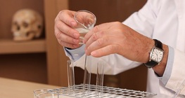 Modelling protein digestion in the stomach