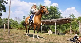 Árpád-kori falu
