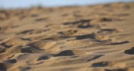 الصخور الرسوبية