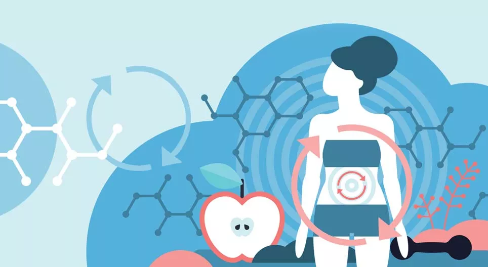 Metabolizma nedir?