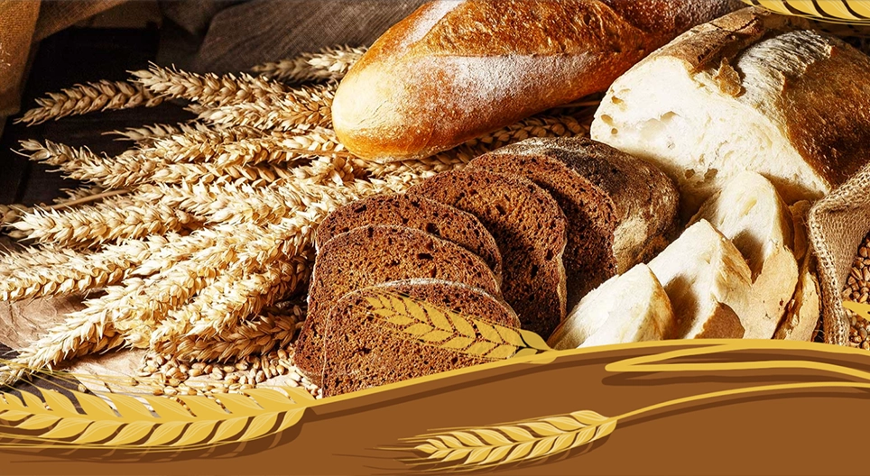 Từ lúa mì đến bánh mì
