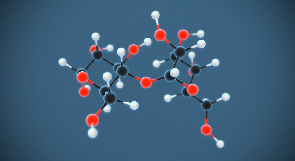 分子运动 VI（碳水化合物）
